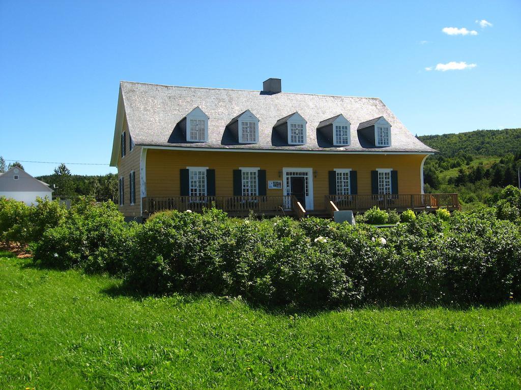 Motel Le Noroit L'Anse-au-Griffon Eksteriør billede